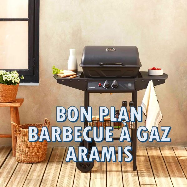 Sweeek bons plans barbecue  gaz Aramis