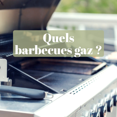 Bons plans barbecue gaz Electro Dpt