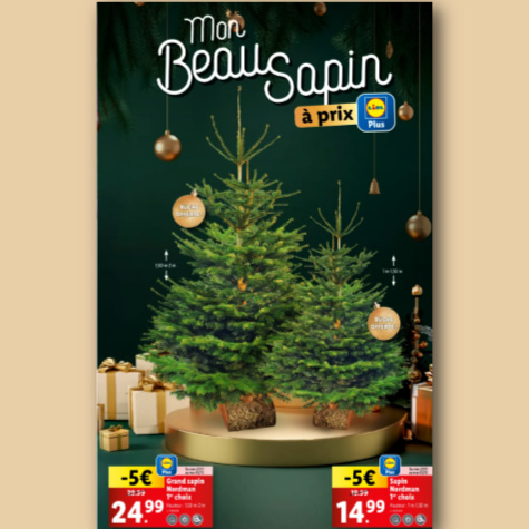 Arrivage sapin naturel Nordmann Lidl moins cher